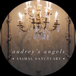 Meet your Posher, Emily audrey